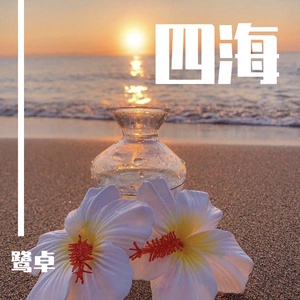 上海陈思思借贷宝图片
