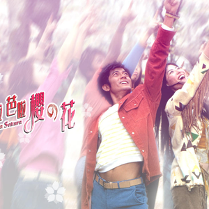 上海陈思思借贷宝图片
