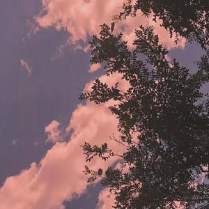 上海陈思思借贷宝图片
